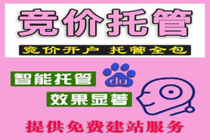 某公司SEM推广的失败教训与成功经验